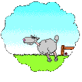 ovella.gif