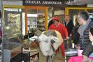 Carnaval Plaça Mercat 2018_9