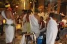 Paelles11_20