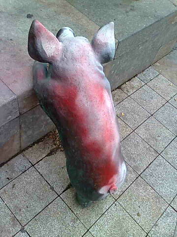 poxai_pintat1