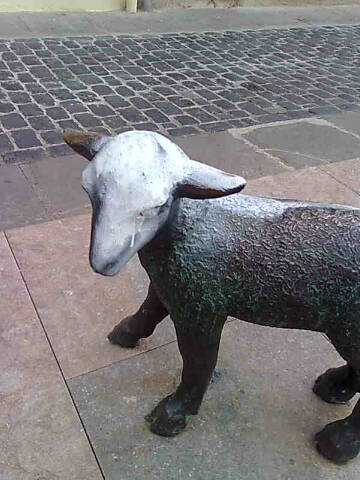 poxai_pintat2