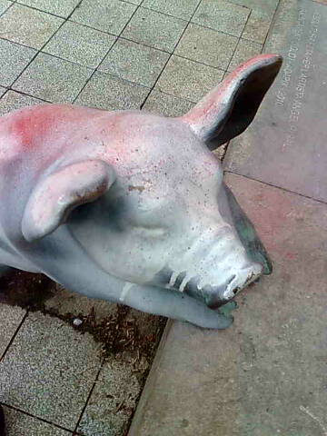 poxai_pintat3