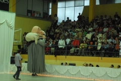gegant_patinatge07_20_20141011_1187859162