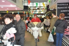 carnaval_placa_mercat_2018_7_20180217_1192215981