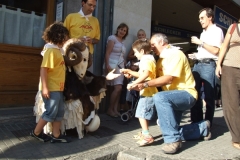 cercavila07_3_20141031_2038022816