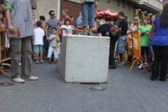 pinyol_oliva11_2_20141013_1227686225