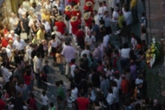 marranada08_4_20141013_1787837569