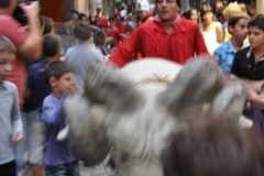 marranada10_3_20150420_1323780451