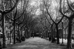 postal_9_20180812_1115685915